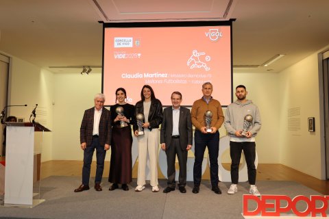 Premios Vide 25